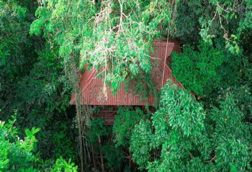 منزل غرفة نوم واحدة, Maquenque Ecolodge