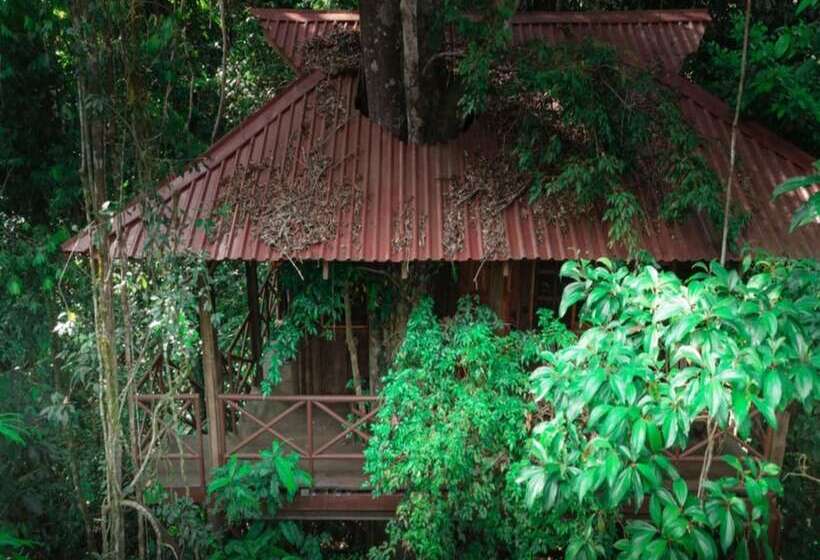 منزل غرفة نوم واحدة, Maquenque Ecolodge