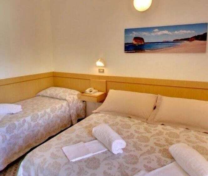 Номер Комфорт, Paglierani New Management 2024