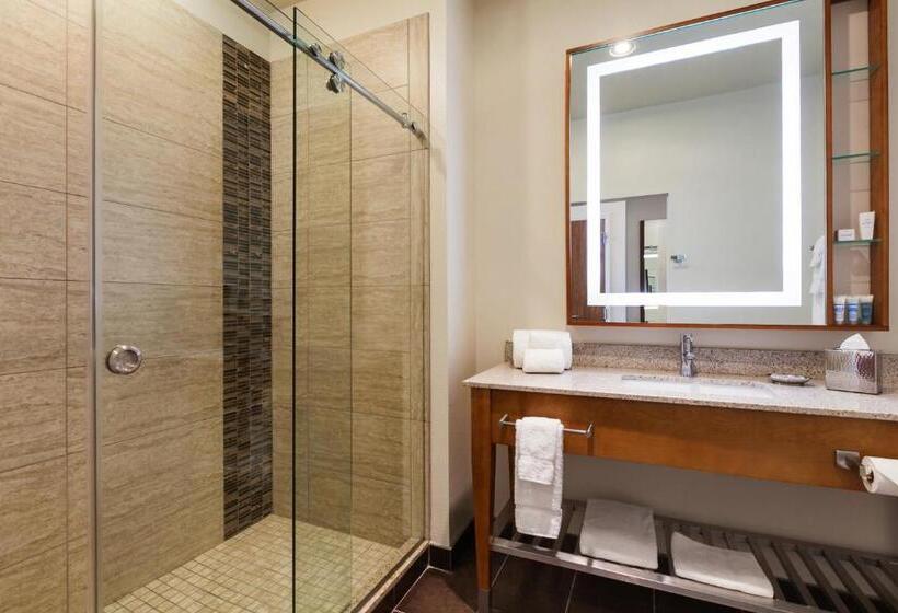 חדר דחוקס עם מיטת קינג, Sol Cypress, San Antonio, A Tribute Portfolio