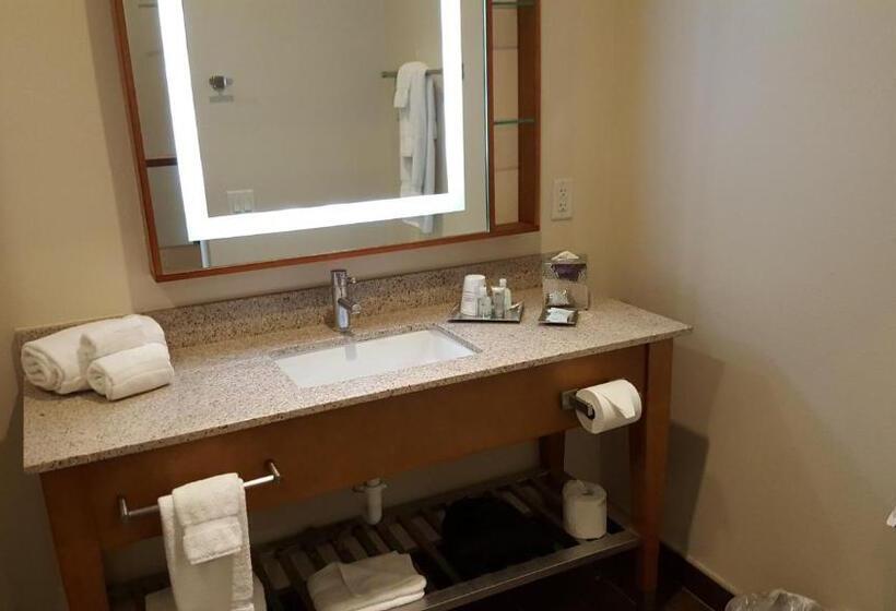 חדר דחוקס עם מיטת קינג, Sol Cypress, San Antonio, A Tribute Portfolio