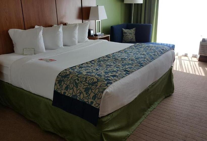 חדר דחוקס עם מיטת קינג, Sol Cypress, San Antonio, A Tribute Portfolio