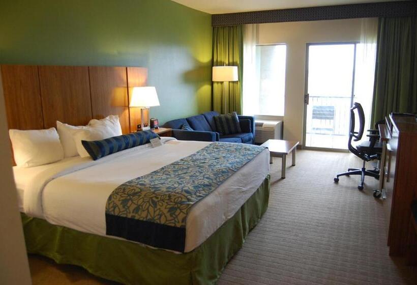 חדר דחוקס עם מיטת קינג, Sol Cypress, San Antonio, A Tribute Portfolio