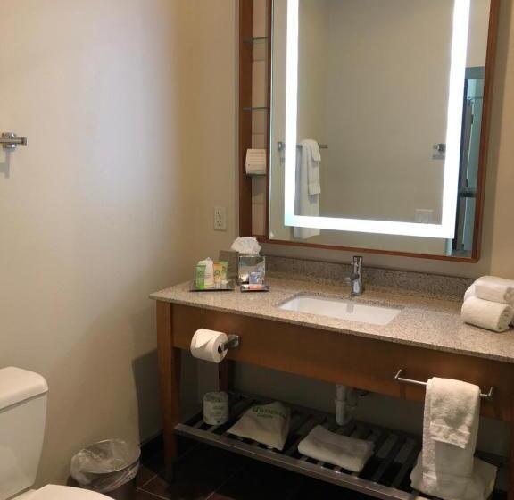 חדר דלוקס מותאם לאנשים עם מוגבלויות, Sol Cypress, San Antonio, A Tribute Portfolio