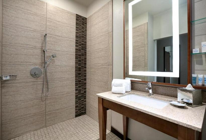 חדר דחוקס עם מיטת קינג, Sol Cypress, San Antonio, A Tribute Portfolio