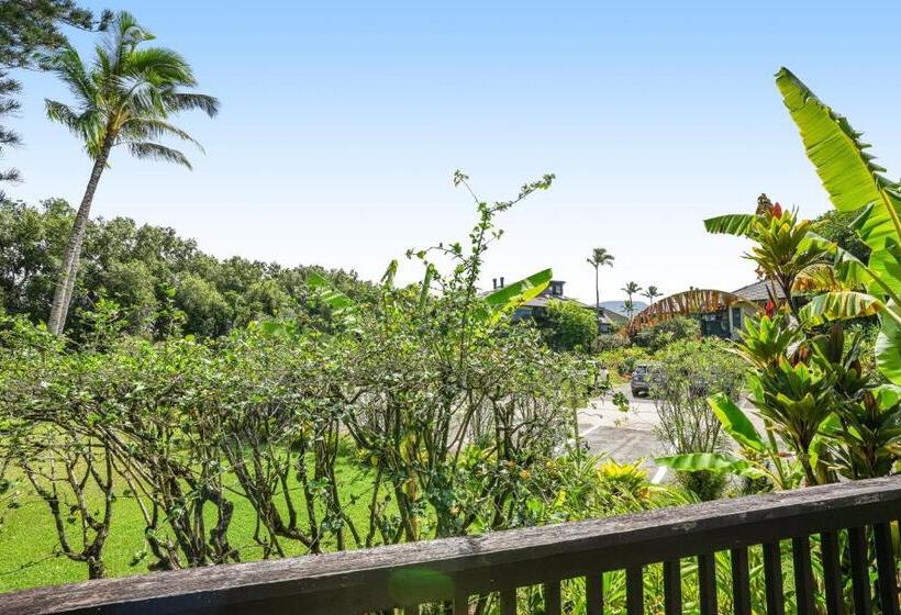 آپارتمان 3 خوابه, Mauna Kai 8