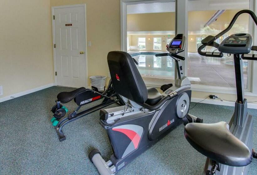 شقة غرفتين, Ocean Star