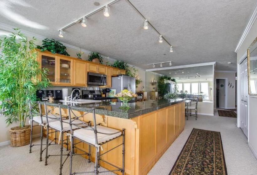 شقة غرفتين, Ocean Star