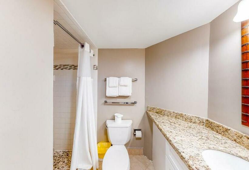 带3个卧室的公寓, Duck Key Bliss