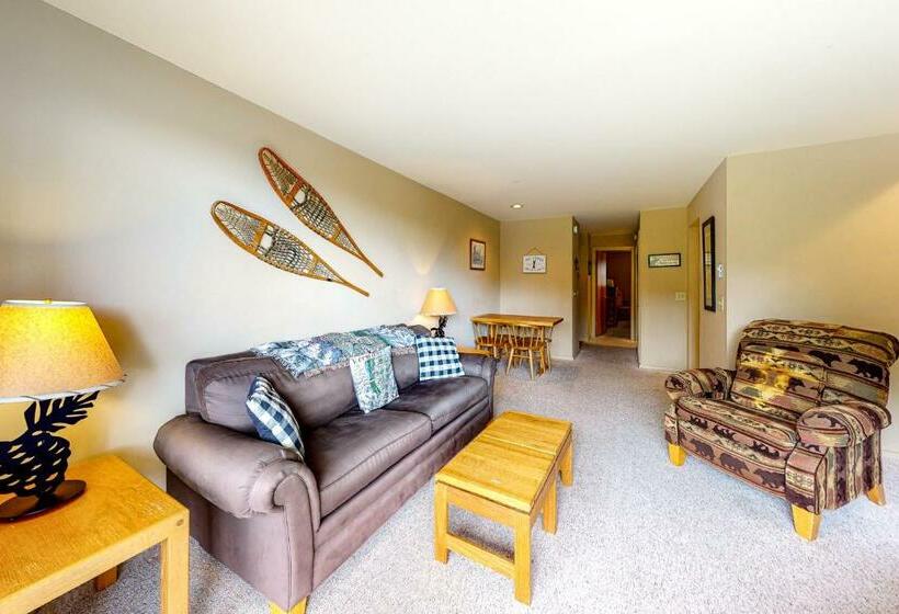 آپارتمان 1 خوابه, Mountainside Ski Lodge