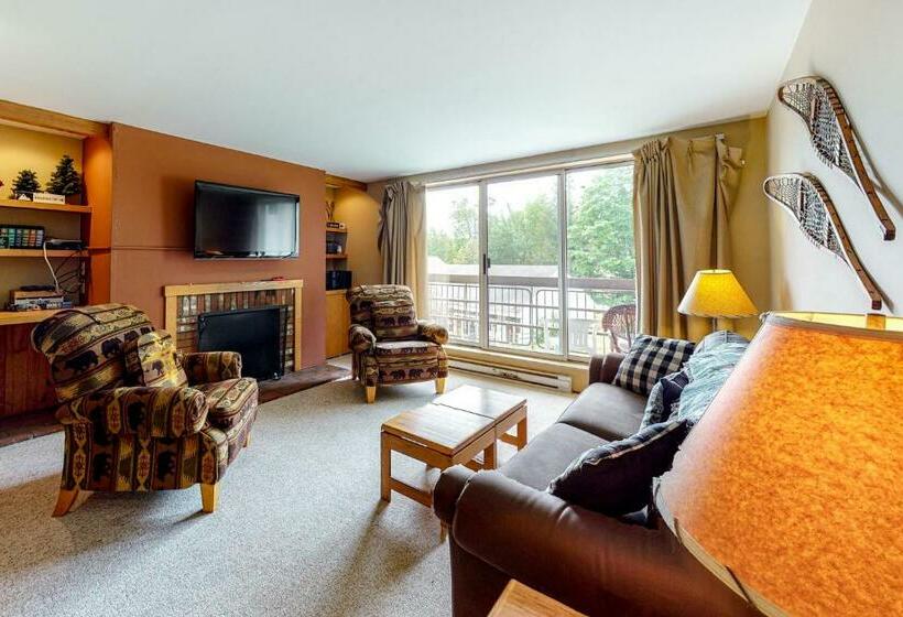 آپارتمان 1 خوابه, Mountainside Ski Lodge