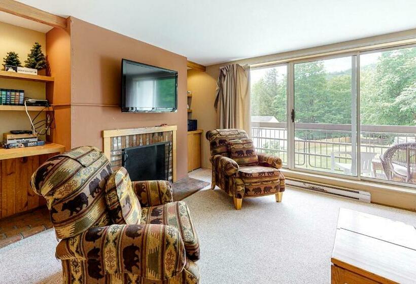 آپارتمان 1 خوابه, Mountainside Ski Lodge