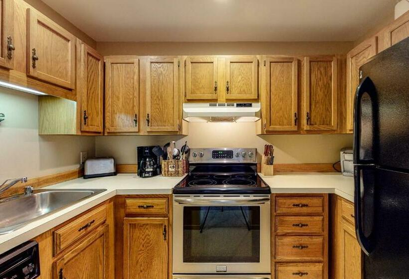 آپارتمان 1 خوابه, Mountainside Ski Lodge