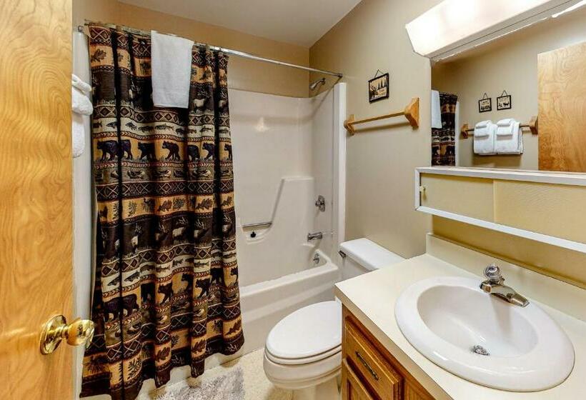 آپارتمان 1 خوابه, Mountainside Ski Lodge