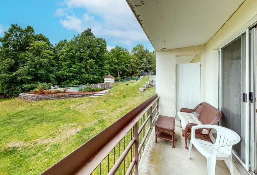 آپارتمان 1 خوابه, Mountainside Ski Lodge