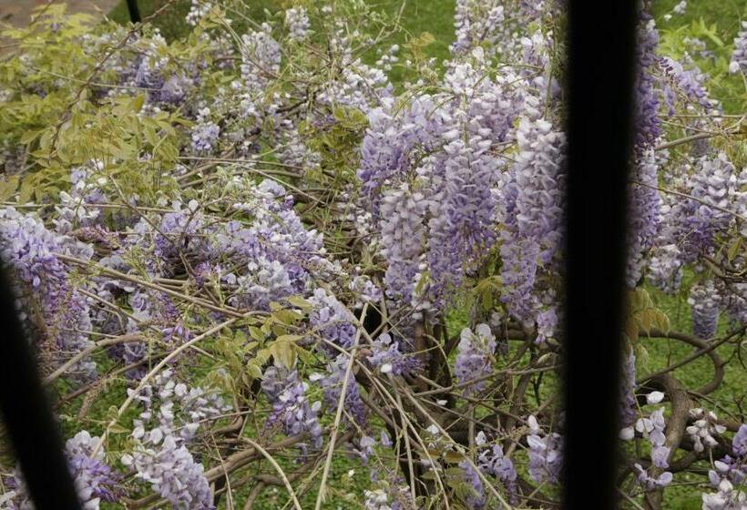 带大床的复式套间, Susana Just Boutique