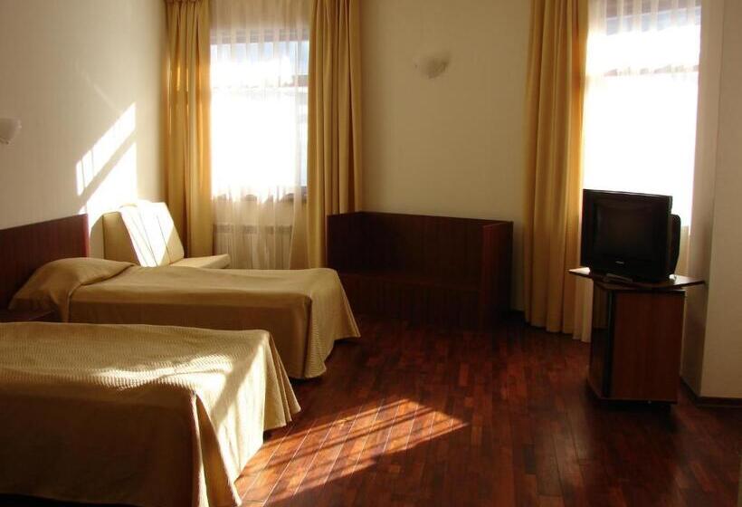 חדר סטנדרט עם נוף, Borika