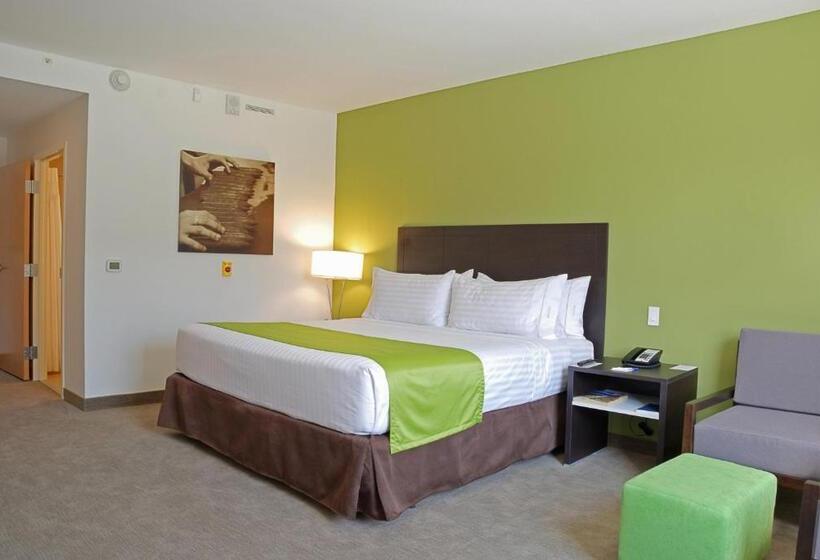 带大床的标准间, Holiday Inn Express Managua, An Ihg