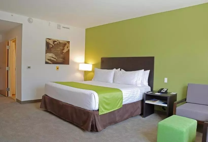 اتاق استاندارد با تخت بزرگ, Holiday Inn Express Managua, An Ihg