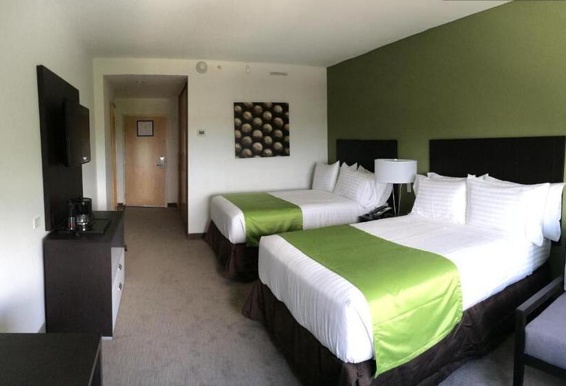 带2个双人床的标准工作室, Holiday Inn Express Managua, An Ihg