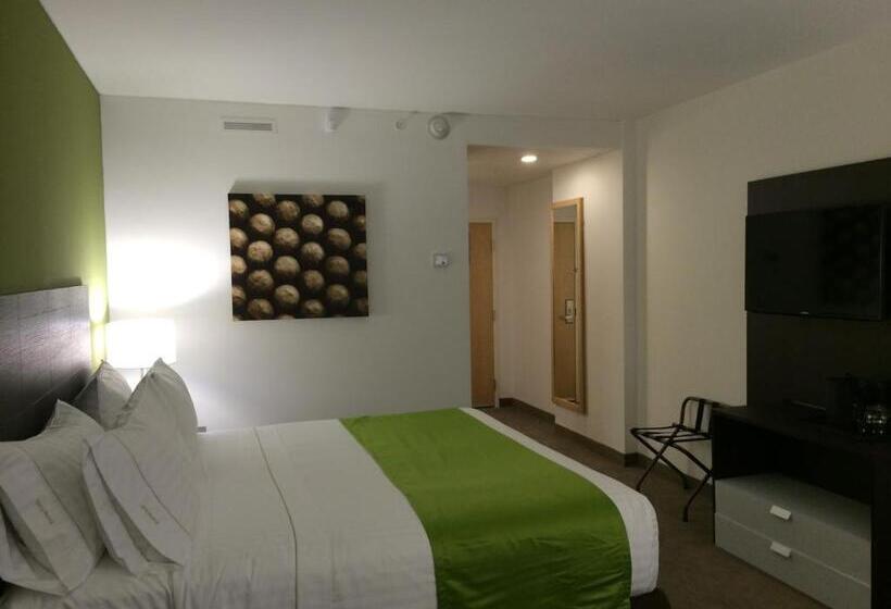 标准间带湖景, Holiday Inn Express Managua, An Ihg