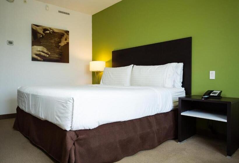 适合残疾人士使用的带超级大床的标准间, Holiday Inn Express Managua, An Ihg