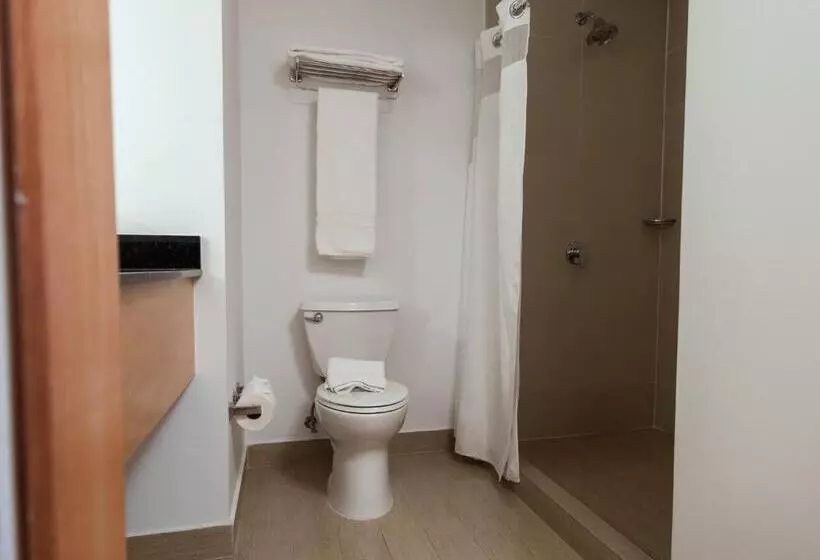اتاق استاندارد با تخت بزرگ برای معلولان, Holiday Inn Express Managua, An Ihg