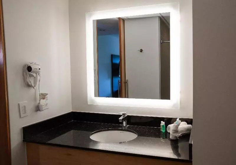 اتاق استاندارد با تخت بزرگ برای معلولان, Holiday Inn Express Managua, An Ihg