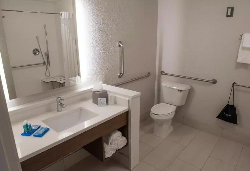 スタンダードルーム, Holiday Inn Express & Suites Springfield, An Ihg