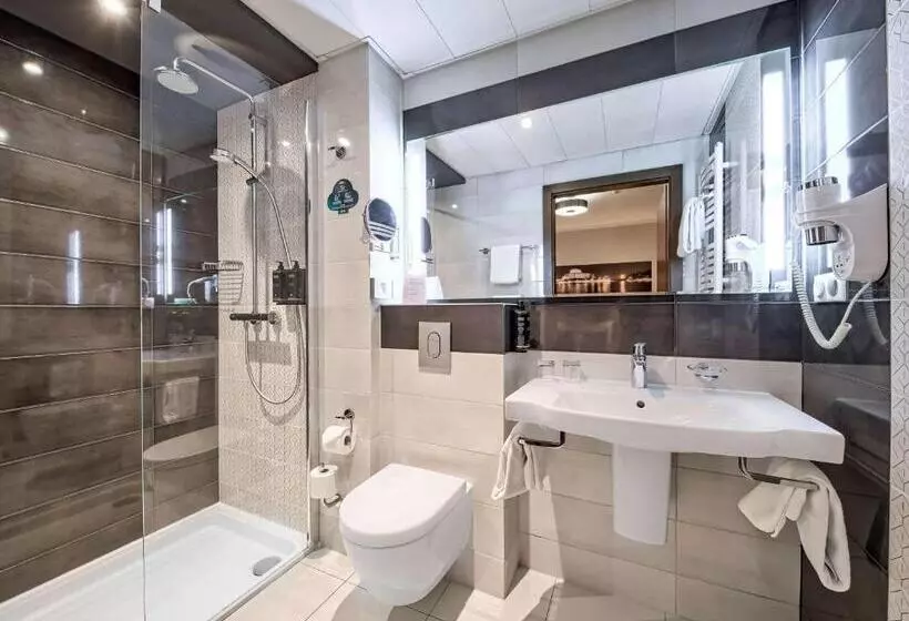 اتاق استاندارد با تخت بزرگ, Mercure Bydgoszcz Sepia