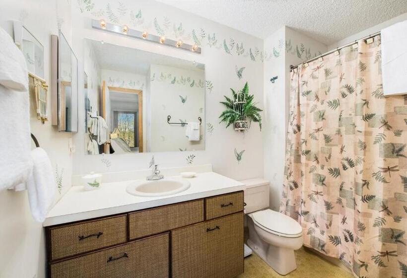 شقة غرفة واحدة, Mountain Seclusion