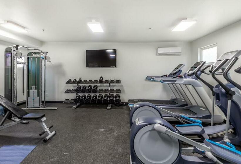 Апартаменты 1 Спальня, Sunny Cozy Condo