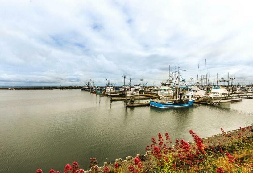 ２ベッドルームアパートメント, Lighthouse Views