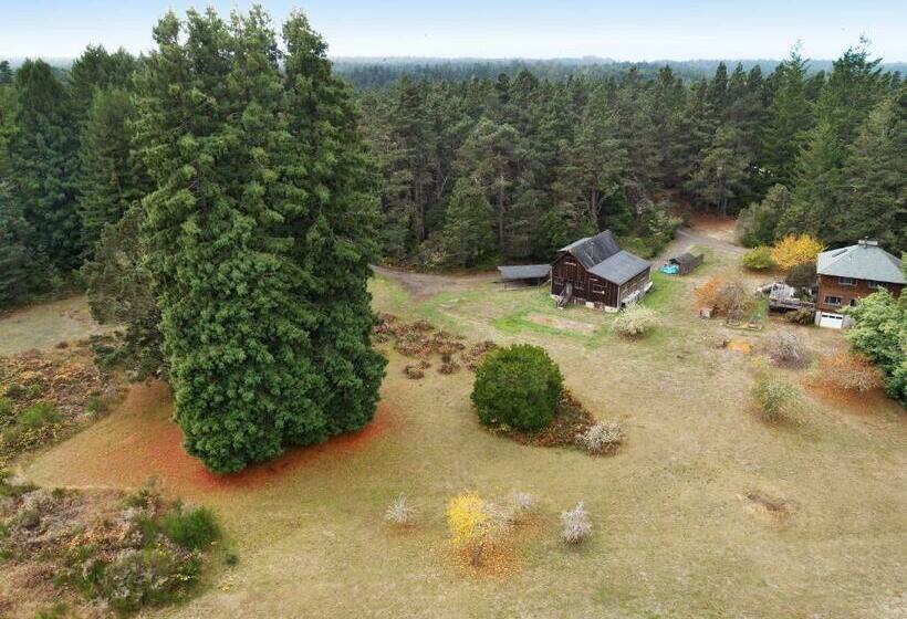 إستوديو قياسى, Meadow Redwoods