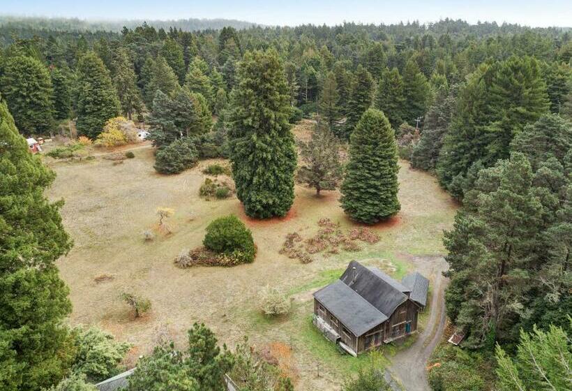إستوديو قياسى, Meadow Redwoods