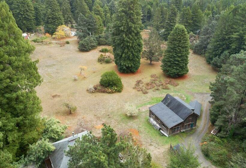 스탠다드 스튜디오, Meadow Redwoods