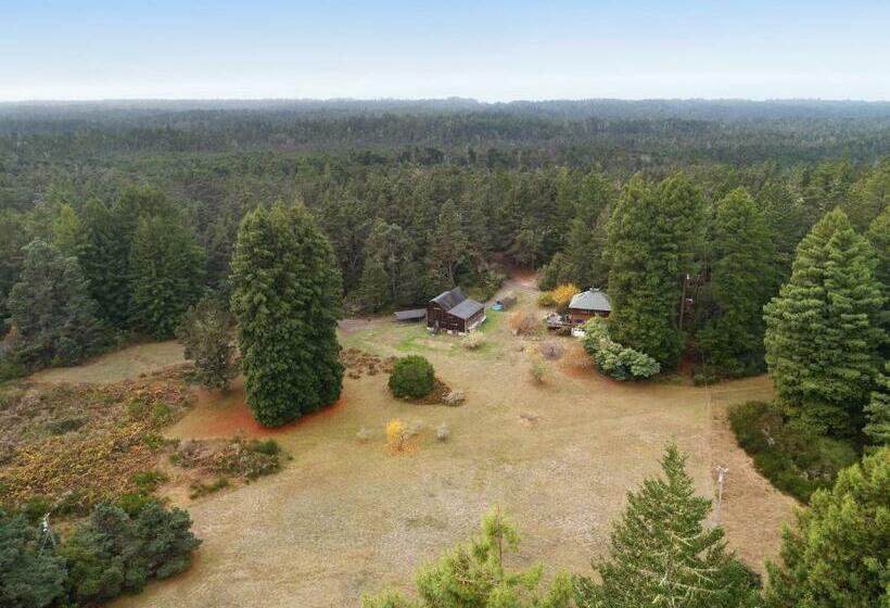 إستوديو قياسى, Meadow Redwoods