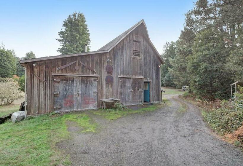 إستوديو قياسى, Meadow Redwoods