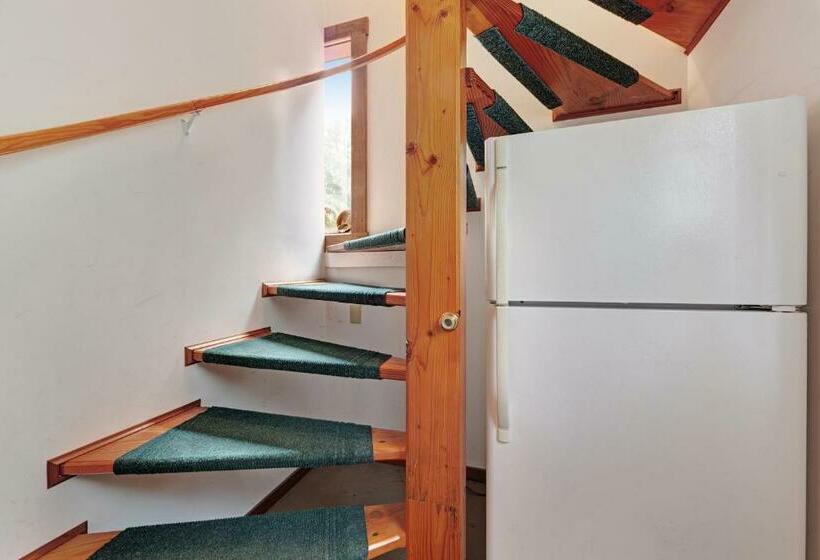 إستوديو قياسى, Meadow Redwoods