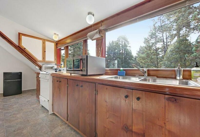 إستوديو قياسى, Meadow Redwoods