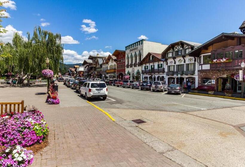 带1个卧室的公寓, Aspen Suites 505: Enchantment Abode