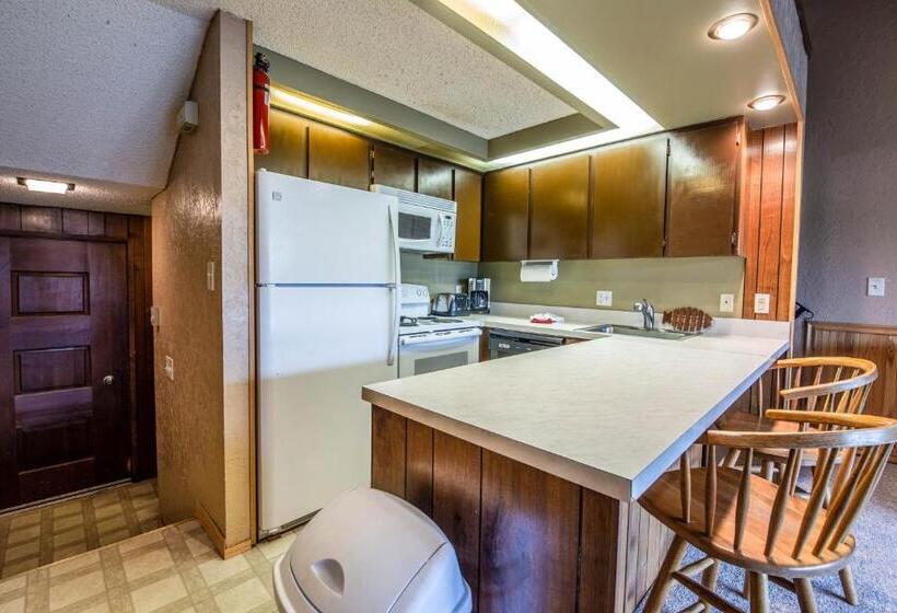 شقة غرفتين, Condo Del Sol 210