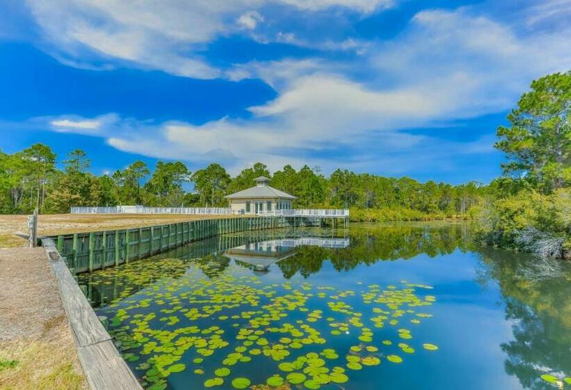 Апартаменты 3 Спальни, Seagrove Beach Seagrove Highlands 2107 231 Sommerset Bridge Rd