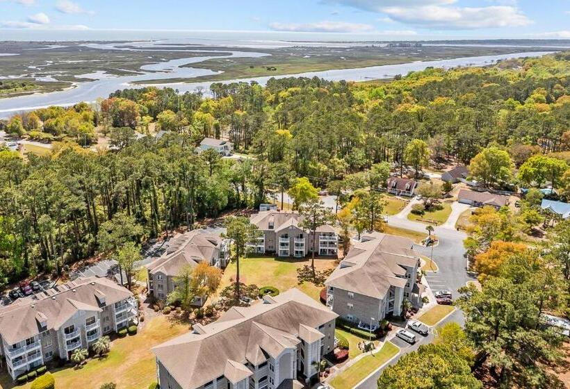 バルコニー付き１ベッドルームアパートメント, Colony Ii