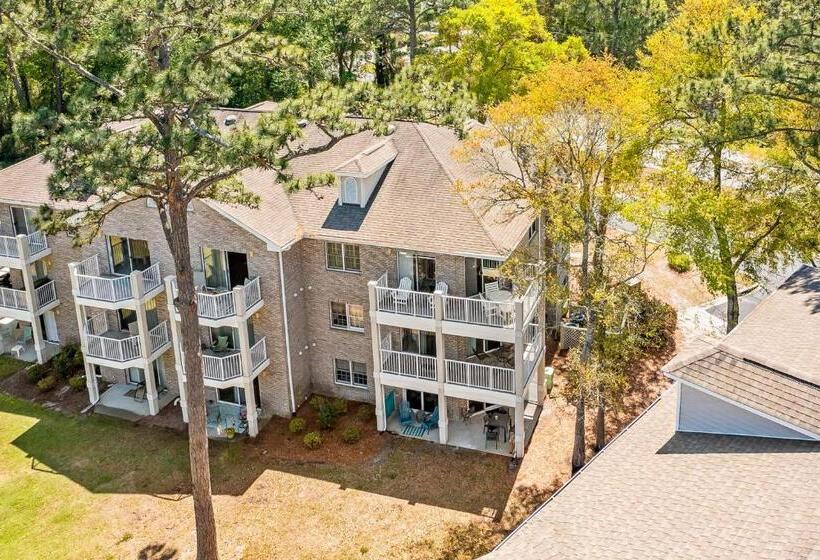 バルコニー付き１ベッドルームアパートメント, Colony Ii