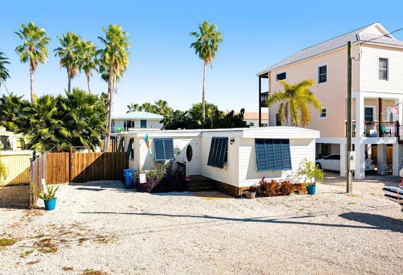 شقة غرفتين, Gold Starfish