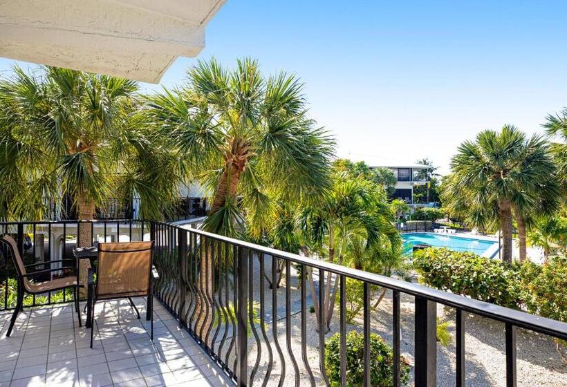 شقة غرفتين, Gold Starfish