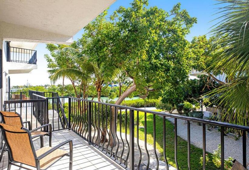 شقة غرفتين, Gold Starfish