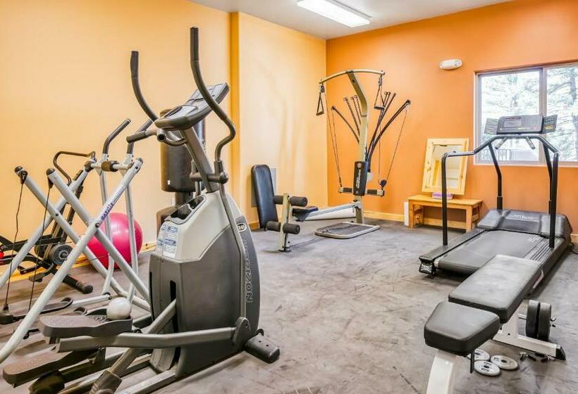 شقة غرفة واحدة, Sweet Retreat