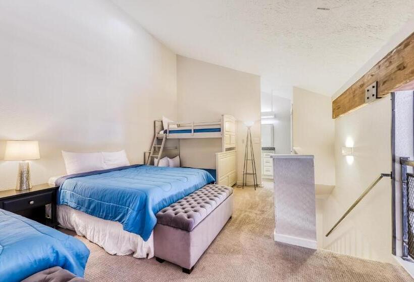 شقة غرفة واحدة, The Mall #203